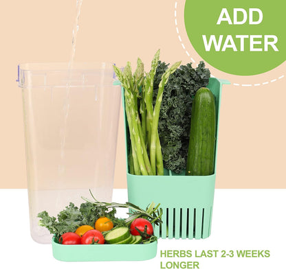 LUVCOSY Herb Keeper Set: 3 Pack Herb Saver+1 Pack Herb Scissors+2 Pack Herb Stripper, BPA-Free Plastic Herb Container for Cilantro, Mint & Asparagus, Keeps Fresh Herbs for 3 Times Longer