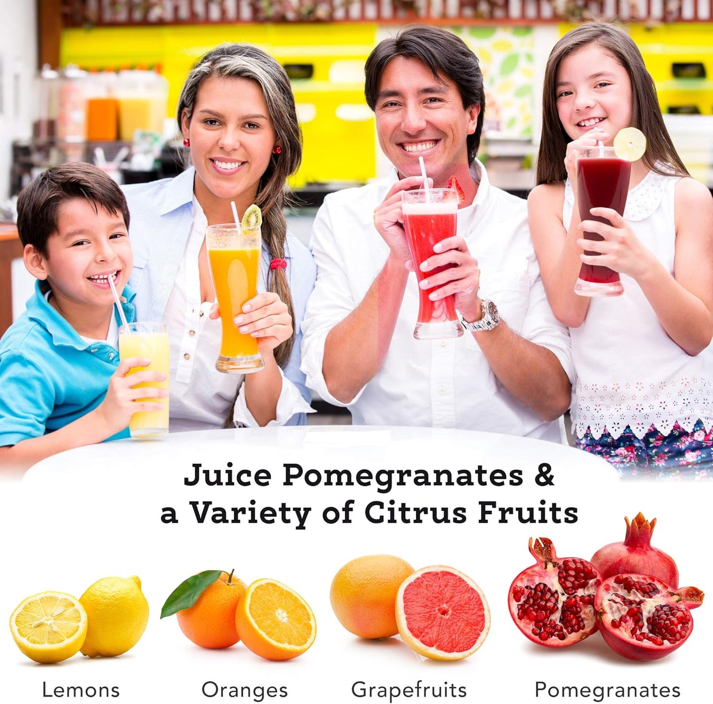 Tribest Pro MJP-105 XL Professional Manual Cold Press Juicer Machine for Pomegranates and Citrus (Purple)