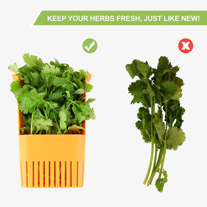 LUVCOSY Herb Keeper Set: 3 Pack Herb Saver+1 Pack Herb Scissors+2 Pack Herb Stripper, BPA-Free Plastic Herb Container for Cilantro, Mint & Asparagus, Keeps Fresh Herbs for 3 Times Longer