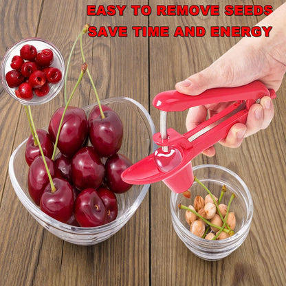 Cherry Pitter Tool, Heavy-Duty Stainless Steel Pitting Tool, Portable Cherries Corer Stoner Seed Tool with Lock Design, Fruit Pit Remover for Cherry Jam(Black)