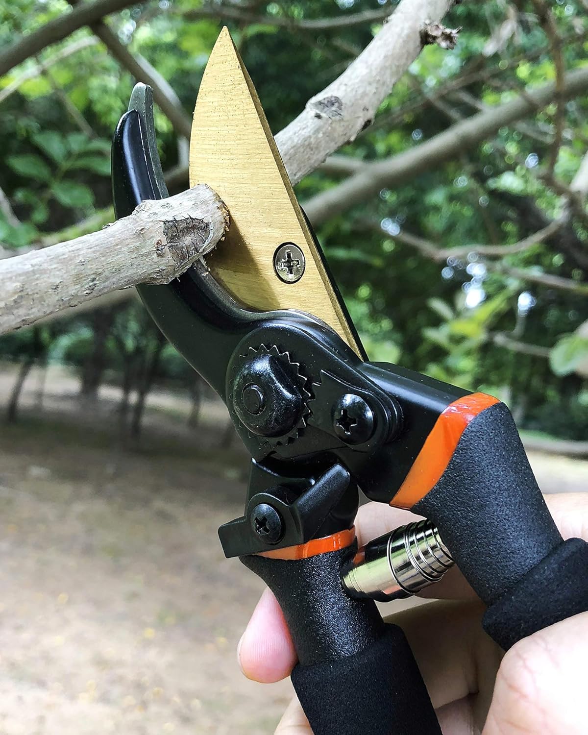 Garden Shears, Sharp Pruners for Gardening with Locking Mechanism, Ideal for Trimming, Harvesting