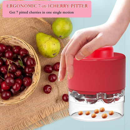 Cherry Pitter Tool, Heavy-Duty Stainless Steel Pitting Tool, Portable Cherries Corer Stoner Seed Tool with Lock Design, Fruit Pit Remover for Cherry Jam(Black)