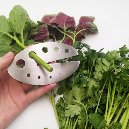Herb Stripper, Stainless Steel Herb Leaf Stripping Tool, 11 holes Kitchen Kale, Chard, Vegetable Leaf Remover/Separator, Small Kitchen Gadgets - 1pcs, Silver