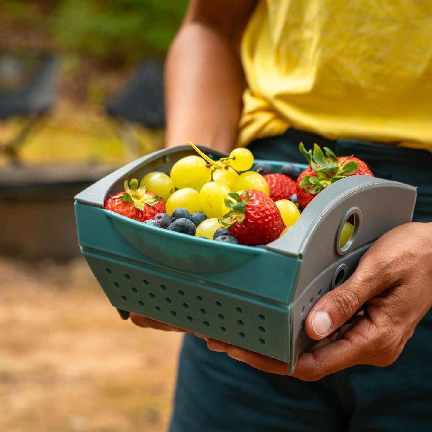 Coghlan's Snapfold Colander – 3-Quart (2.8L) Compact, Collapsible Strainer for Pasta, Vegetables, Fruit, Space-Saving, Self-Standing with Handles, for Camping and Outdoor Kitchens, Standard Size
