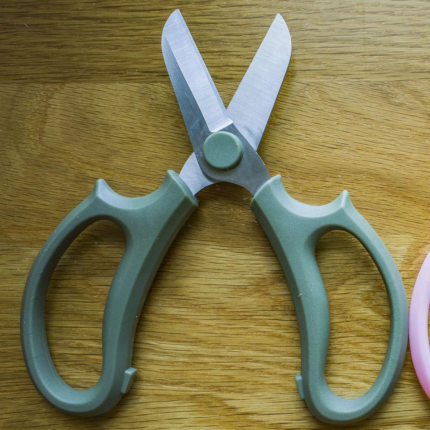 Leize Flower Scissors, Premium Thickened Stainless Steel Floral Shears, Strong Pruner for Flowers, Branches and Leaves (Grey Green Slender)