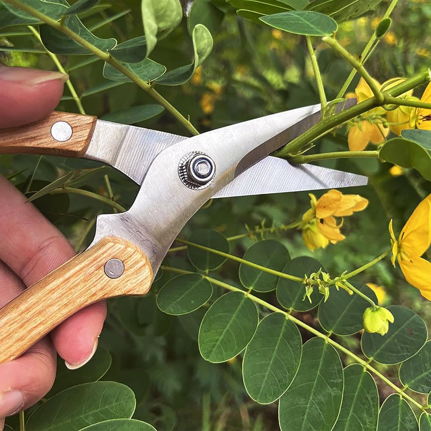 BUGUI Garden Shears Set of 2, Includes 1 Bypass Pruning Shears and 1 Straight Blade Garden Scissors, Sharp, Lightweight