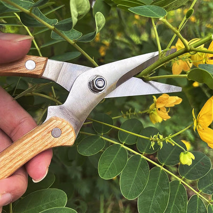 BUGUI Garden Shears Set of 2, Includes 1 Bypass Pruning Shears and 1 Straight Blade Garden Scissors, Sharp, Lightweight