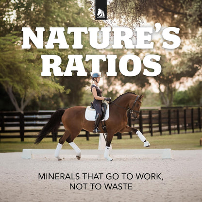 Redmond Daily Red Crushed Garlic | Horse Minerals & Vitamins Supplement | Garlic for Horses