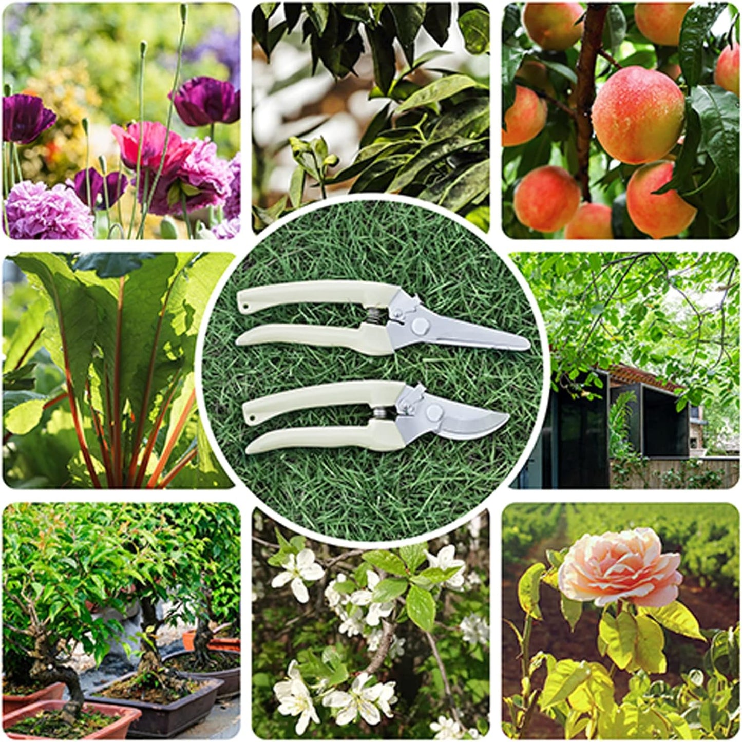 Premium Germany Pruning Shears, Work 3 Times Easier, Pruners Heady Duty, Sharp Garden Clippers Cut Fresh Flower, Hedge, Herb, Indoor Plants, Gardening Tools Scissors, Arthritis Weak Hand Snips