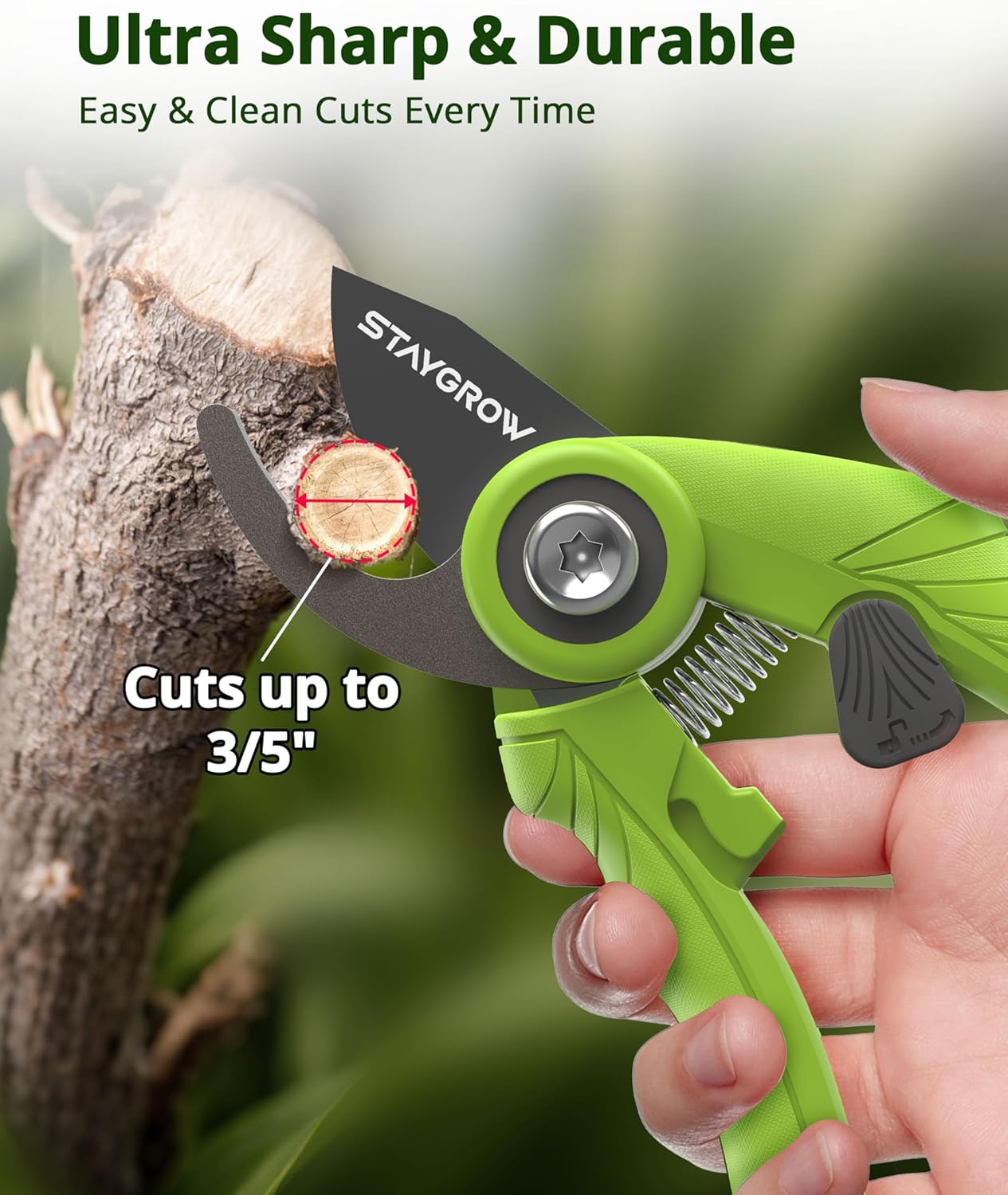 2pcs 6.5" Pruning Shears for Gardening, Ultra Sharp Garden Scissors for Precise Cuts, Stainless Steel Bonsai Clippers with Spring Loaded, 6.5 Inch Garden Shears (1pc Straight & 1pc Curved)