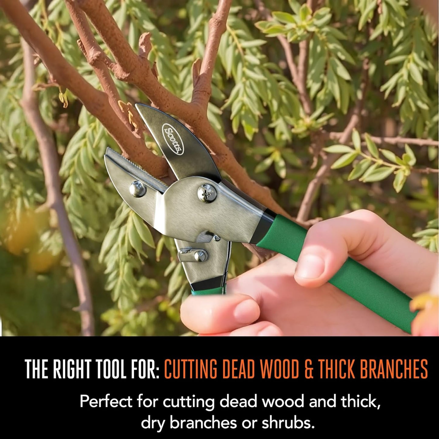 Scotts 8 in. All-Purpose Steel Garden Utility Shears with Serrated Blades – Comfort Grip Yard and Garden Scissors for Pruning Plants, Flowers, and Herbs