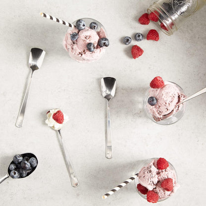 RSVP International Ice Cream Tool Collection, Dishwasher Safe, Large Handle, Scoop