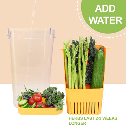 LUVCOSY Herb Keeper Set: 3 Pack Herb Saver+1 Pack Herb Scissors+2 Pack Herb Stripper, BPA-Free Plastic Herb Container for Cilantro, Mint & Asparagus, Keeps Fresh Herbs for 3 Times Longer