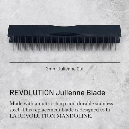 de Buyer REVOLUTION Julienne Blade - 2 mm - Ultra-Sharp Stainless Steel Replacement Blade - Designed for LA MANDOLINE REVOLUTION - Made in France