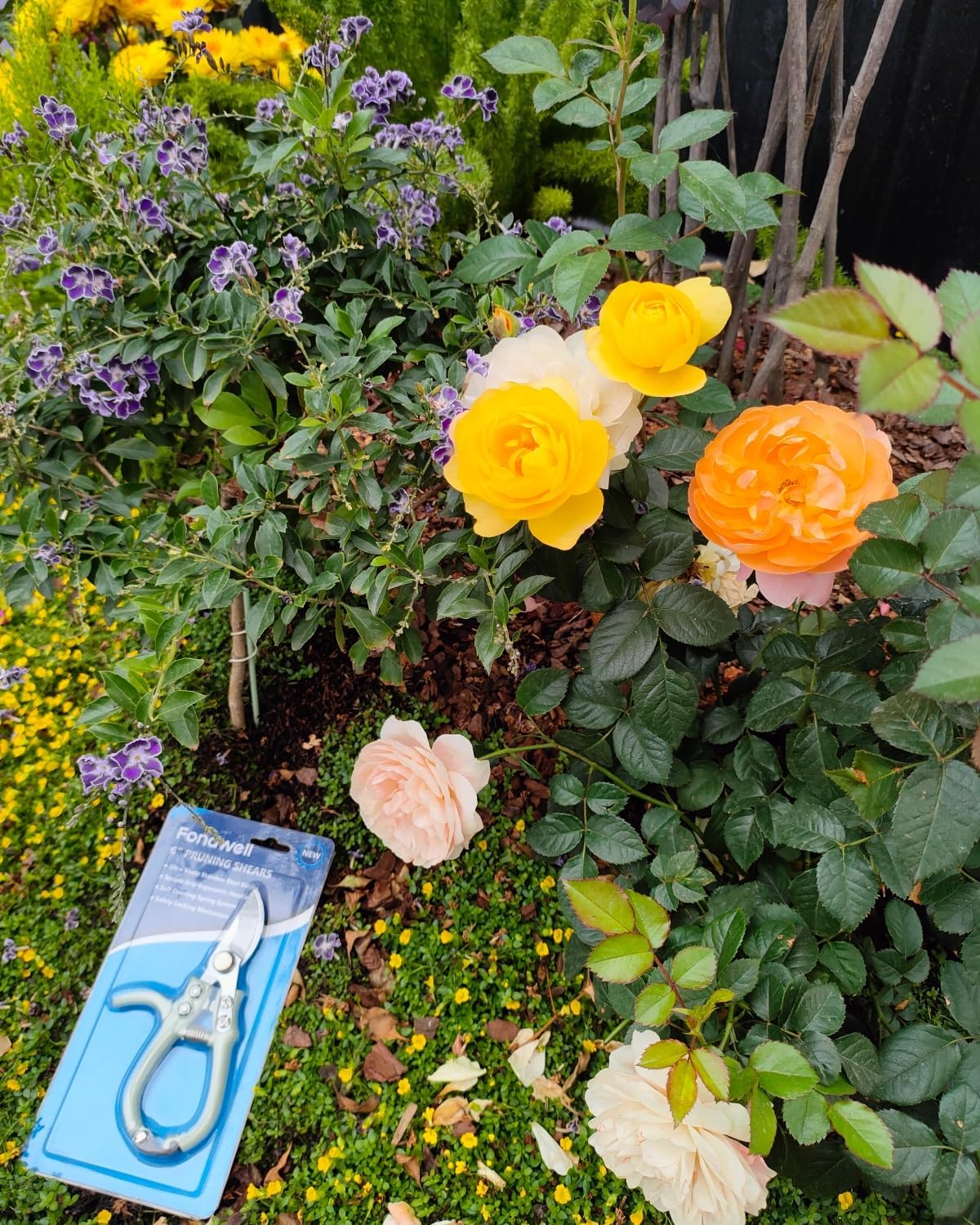 Fondwell 6.5" Pruning Shears Trimming Scissors: 2 Pack of Small Garden Snips with Micro Tip - Plant Clippers of High Cutting Efficiency