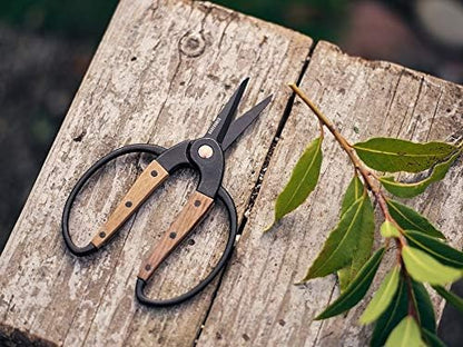 Garden Scissors - Walnut Scissors - Garden Supplies and Indoor Plant Accessories - Plant Shears with Wide Handles - Comfortable Fit Trimming Shears (Small)