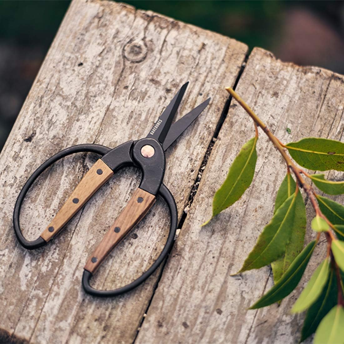 Garden Scissors - Walnut Scissors - Garden Supplies and Indoor Plant Accessories - Plant Shears with Wide Handles - Comfortable Fit Trimming Shears (Small)