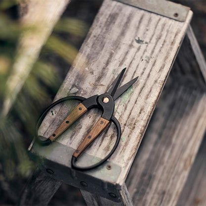 Garden Scissors - Walnut Scissors - Garden Supplies and Indoor Plant Accessories - Plant Shears with Wide Handles - Comfortable Fit Trimming Shears (Small)