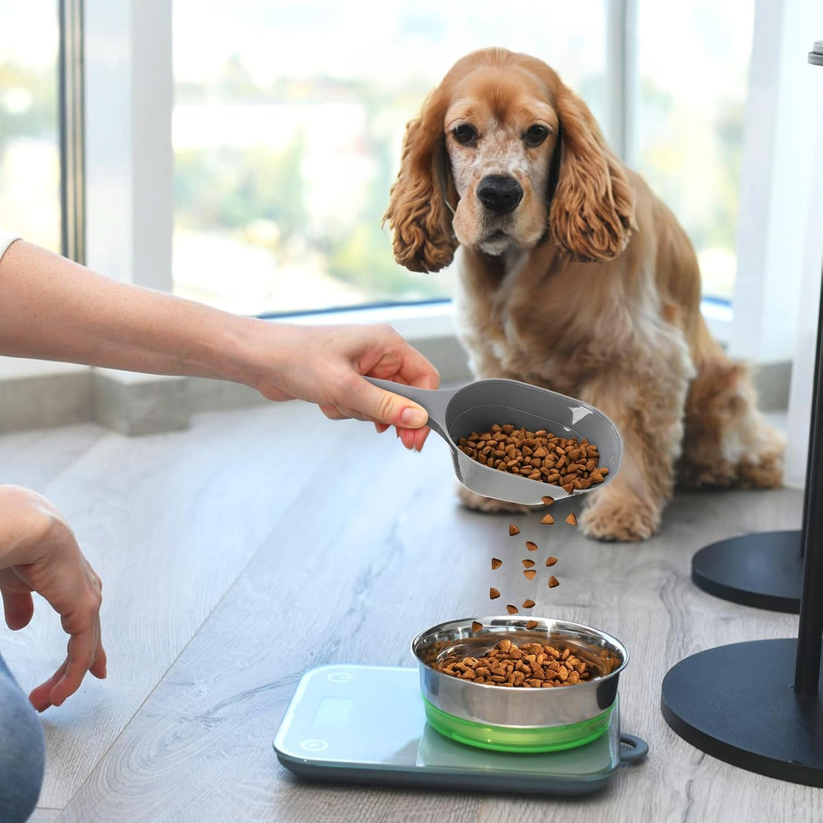 12 Pack Dog Food Scoop, 1 Cup Plastic Pet Food Scoop with Measuring Lines, Multi Purpose Kitchen Scoop Measure Cups for Puppy, Flour, Ice Cube, Accurate Portion Control, 4 Colors