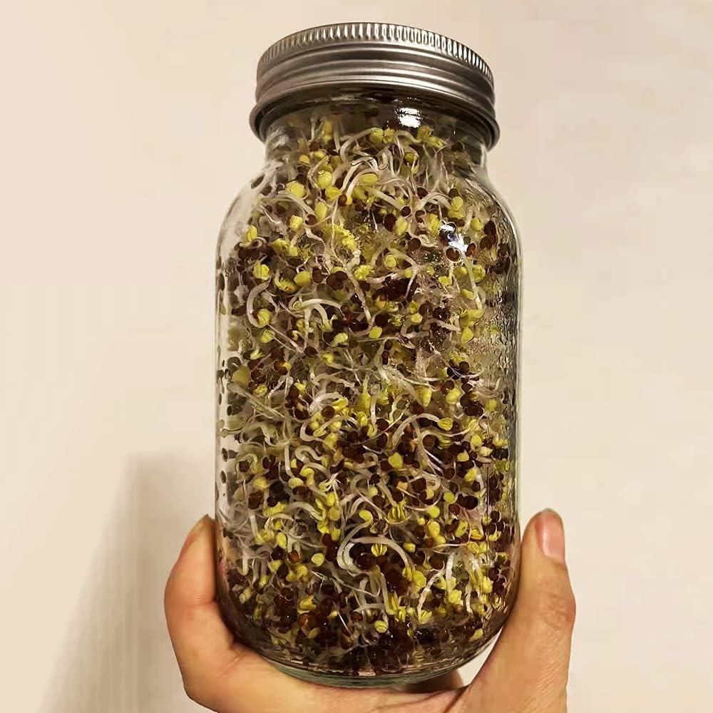 12 Pack Sprouting Lids,304 Stainless Steel Screen Filter Strainer Lid for 2.75 Inch Regular Mouth Mason Jar,Mesh Bean Sprout Sieve Lids,Home Use Alfalfa,Salad,Broccoli,Lentil NO GLASS JAR