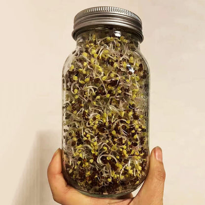 12 Pack Sprouting Lids,304 Stainless Steel Screen Filter Strainer Lid for 2.75 Inch Regular Mouth Mason Jar,Mesh Bean Sprout Sieve Lids,Home Use Alfalfa,Salad,Broccoli,Lentil NO GLASS JAR