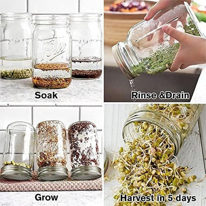 12 Pack Sprouting Lids,304 Stainless Steel Screen Filter Strainer Lid for 2.75 Inch Regular Mouth Mason Jar,Mesh Bean Sprout Sieve Lids,Home Use Alfalfa,Salad,Broccoli,Lentil NO GLASS JAR