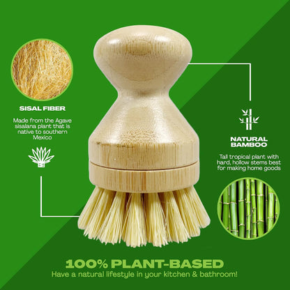 Long Coconut Dish Brush Plant-Based Vegan for Kitchen Bathroom Cleaning Produce Washing Dishes (Long Dish Brush & Coconut Brush Head)