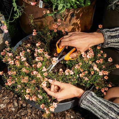 Fiskars 6" Pruning Scissors for Flowers, Buds, Weeds and Small Plants, Garden Snips with Resin Resistant Nonstick Stainless Steel Blades, Gardening Trimmers with Comfortable Handle