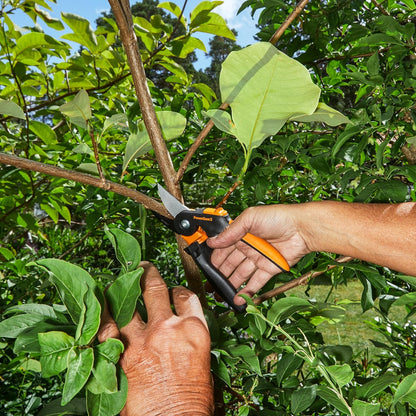 Fiskars PowerGear2 Pruning Shears, Patented Gear Technology & Cam Mechanism Multiplies Leverage, Hardened Steel Bypass Blade, Contoured Rolling Handle Reduces Hand Fatigue, 3/4" Cut Capacity
