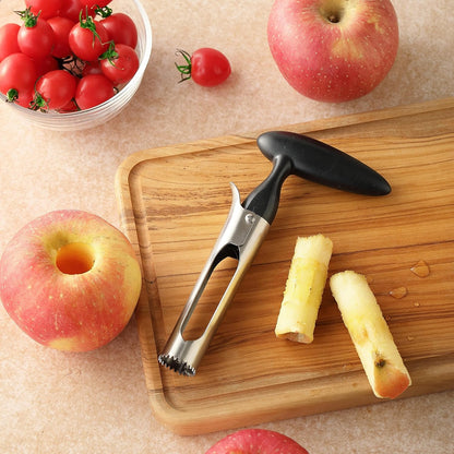 Apple Corer, Comfortable Handle and Sharp Serrated Blade Apple Core Remover, Sturdy and Easy to Use for Apple and Pear Core, Dishwasher Safe - Black