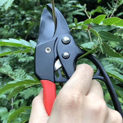gonicc 8" Professional Premium Titanium Bypass Pruning Shears (GPPS-1003), Hand Pruners, Garden Clippers.
