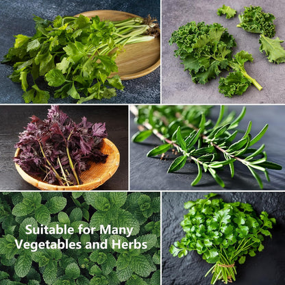 Herb Stripper, 9 holes Stainless Steel Kitchen Herbs Leaf Stripping Tool, Metal Herb Peeler for Kale, Chard, Collard Greens, Thyme, Basil, Rosemary