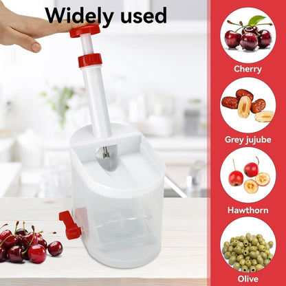 Cherry Pitter with Stone Catcher Container, Plastic Cherry Pit Seeds Removing Tool, Reusable Grapes Seeds Removing Tool with Container Cherry Stone Remover Tool for Home Traveling Fruit Gadget