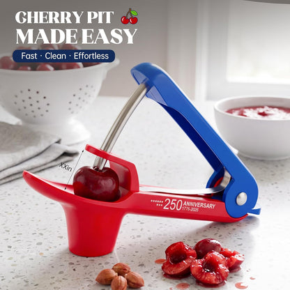 Cherry Pitter - Stainless Steel Cherries Pitter Tool Cherries Corer Cherry Remover for Making Cherry Jam with Lock Design(Black)