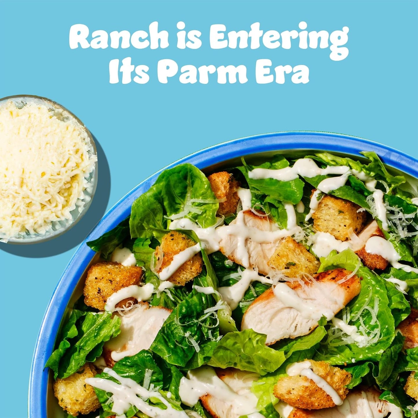 Parmesan Ranch Condiment and Dressing, 16 FZ