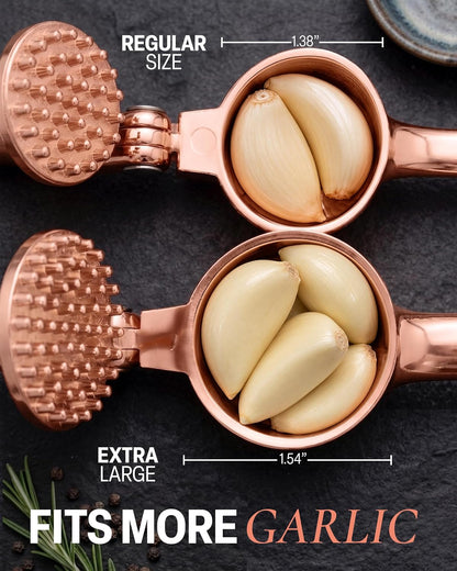 Large Premium Garlic Press Set - Bigger Bowl for Bigger Garlic - Rust Proof Garlic Mincer Tool - Easy-Squeeze, Easy-Clean Silicone Garlic Peeler & Brush (Silver)