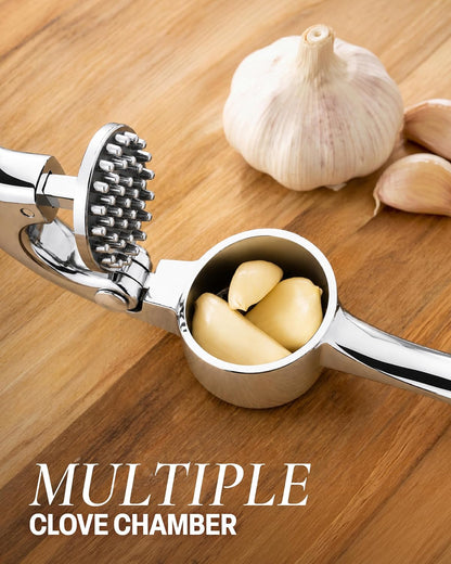 Large Premium Garlic Press Set - Bigger Bowl for Bigger Garlic - Rust Proof Garlic Mincer Tool - Easy-Squeeze, Easy-Clean Silicone Garlic Peeler & Brush (Silver)