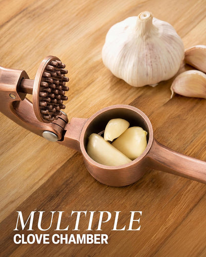 Large Premium Garlic Press Set - Bigger Bowl for Bigger Garlic - Rust Proof Garlic Mincer Tool - Easy-Squeeze, Easy-Clean Silicone Garlic Peeler & Brush (Silver)