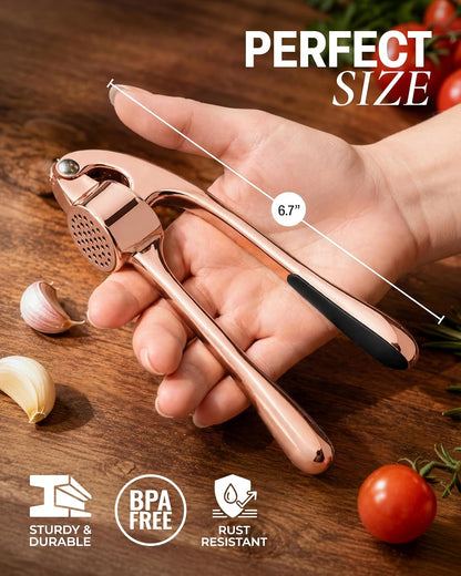 Large Premium Garlic Press Set - Bigger Bowl for Bigger Garlic - Rust Proof Garlic Mincer Tool - Easy-Squeeze, Easy-Clean Silicone Garlic Peeler & Brush (Silver)