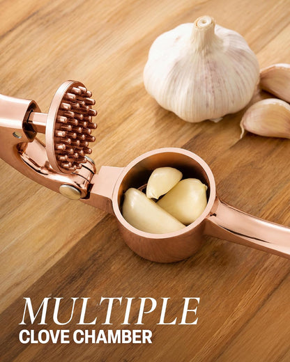 Large Premium Garlic Press Set - Bigger Bowl for Bigger Garlic - Rust Proof Garlic Mincer Tool - Easy-Squeeze, Easy-Clean Silicone Garlic Peeler & Brush (Silver)