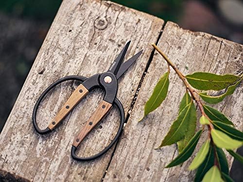 Garden Scissors - Walnut Scissors - Garden Supplies and Indoor Plant Accessories - Plant Shears with Wide Handles - Comfortable Fit Trimming Shears (Small)