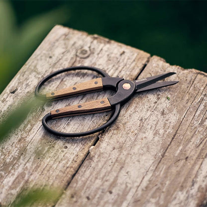 Garden Scissors - Walnut Scissors - Garden Supplies and Indoor Plant Accessories - Plant Shears with Wide Handles - Comfortable Fit Trimming Shears (Small)