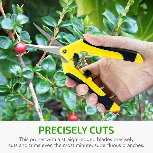 6.5 Inch Gardening Hand Pruner Pruning Shears Trimming Scissors with Straight Stainless Steel Blades for Bonsai, Herb, Bud, Hedge, 4-Pack, Yellow