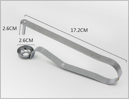 Stainless Steel Cherry Pitter and Jujube Core Remover, Easy to Use Kitchen Gadget for Cherries, Dates, Olives, and Small Fruits, 6.77 Inch