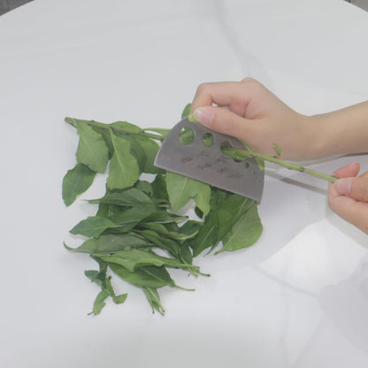 Herb Stripper and Herb Cutter 2 in 1,Herb Stripping Tool Herb Chopper Cilantro Chopper Best Kitchen Gadgets Presents for RV Owners Campers Chefs and Cooking Lovers,1PCS,Green,Stainless Steel