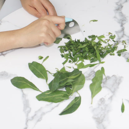 Herb Stripper and Herb Cutter 2 in 1,Herb Stripping Tool Herb Chopper Cilantro Chopper Best Kitchen Gadgets Presents for RV Owners Campers Chefs and Cooking Lovers,1PCS,Green,Stainless Steel