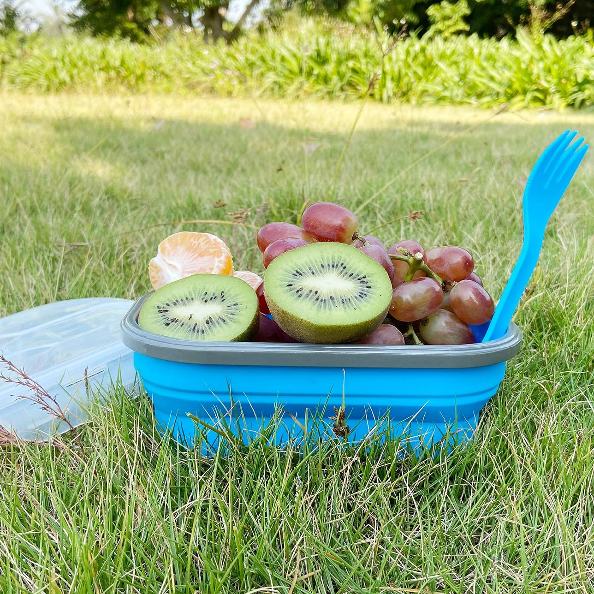 Collapsible Bowl Silicone Collapsible Container Food Storage Containers Collapsible Camping Bowl for Travel Camping Hiking with Airtight Plastic Lids and 2Pack Silicone Dish Sponges- Blue, 1200ml