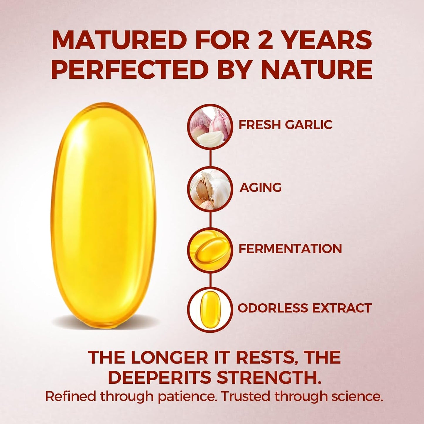 Aged Garlic Extract Capsules, Odorless Garlic 15:1 Extract Formula - 600 Count, Garlic Supplement, 2-Year Matured - for Heart & Immune Support, Non-GMO, Gluten-Free