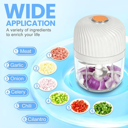 Electric Garlic Chopper 250ML, Mini USB Rechargeable Veggie Chopper, Cordless Garlic Mincer Onion Chopper Food Chopper for Ginger Chili Meat Sauce, Wireless Food Processor, White