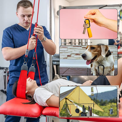 Carabiner Clip - Heavy Duty Carabiners 800lbs-13KN (2922 lbs) Carabeaner D Ring Shape,Key Chain Clip Hook,Keychain Clip,Multipurpose for Camping, Hiking,Backpacking or Other Outdoor Activities.